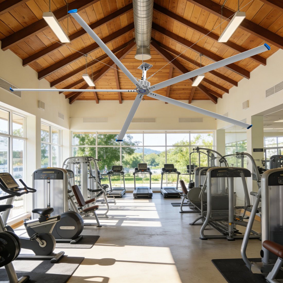 Nhà thi đấu & phòng gym — quạt MEILILE